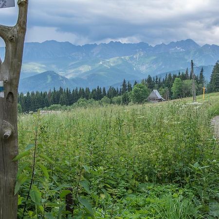 Panorama Tatr Hotell Zakopane Eksteriør bilde
