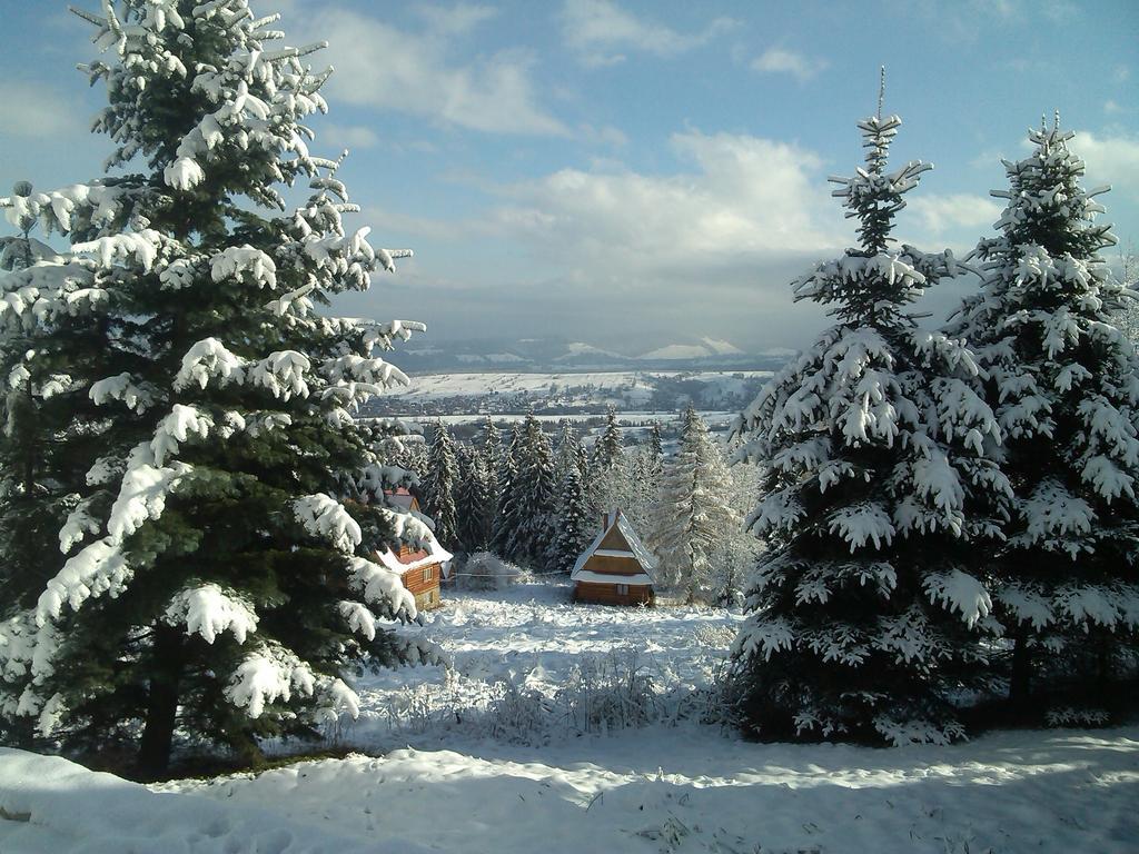 Panorama Tatr Hotell Zakopane Eksteriør bilde