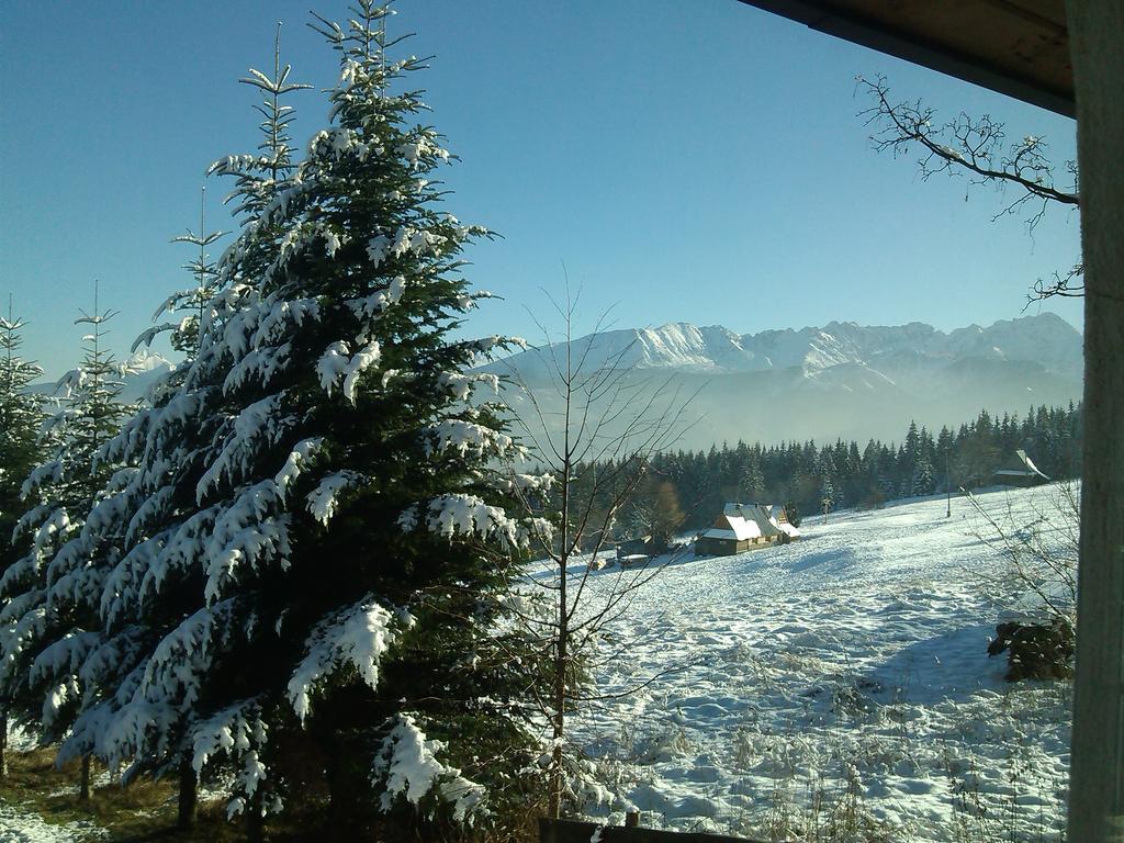 Panorama Tatr Hotell Zakopane Eksteriør bilde